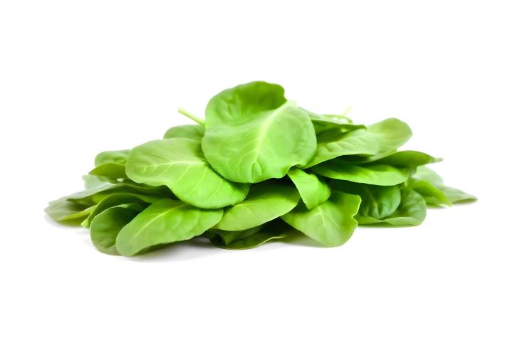 The Nutritional Benefits of Spinach Leaves